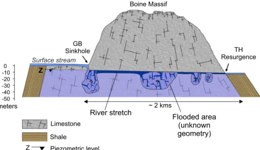 Fig. 4. Cross section in the Boine Massif. The Han-sur-Lesse karstic system is a succession of flooded areas linked by underground river stretches