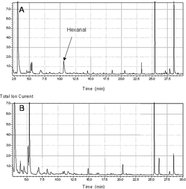 Figure 7. HS-SPME-GC-MS analyses of the volatiles in FBS (A) and FBSLess (B) sera. Analyses were conducted with a 1 mL aliquot of each serum