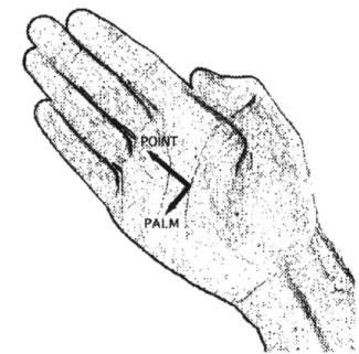 Figure  2-2:  Hand  Orientation  Vectors