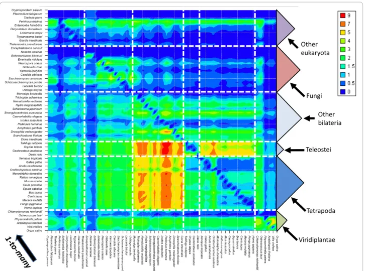 Figure 5 Distribution of 1-to-many relations over 59 organisms. The normalized number of 1-to-many relations is calculated for each organism pair