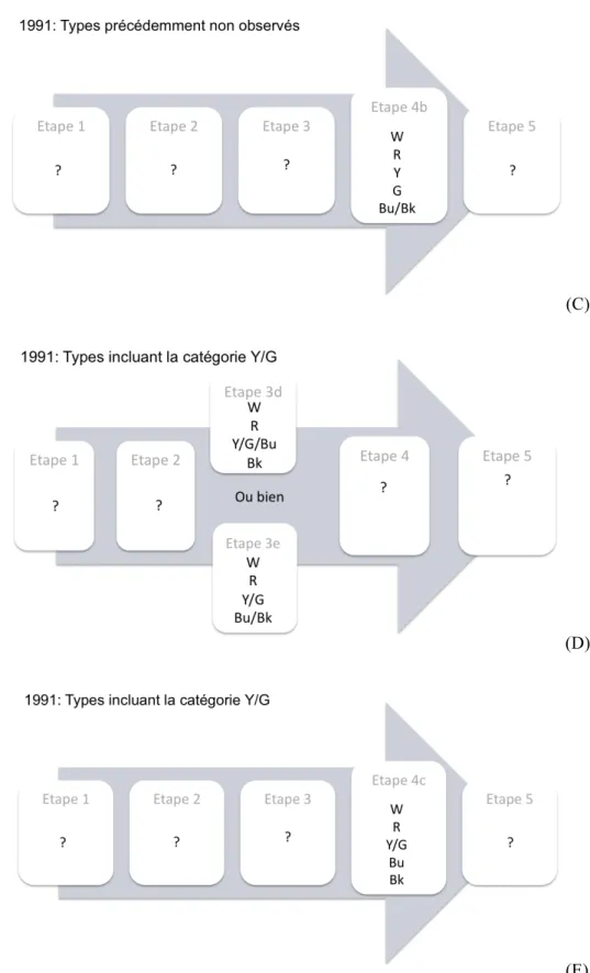 Figure 8.  Séquences évolutionnaires de 1991 et Y/G 