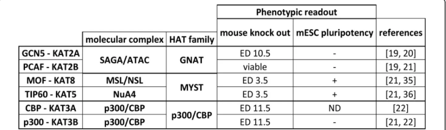 Figure 2 Phenotypes observed in gene disruption studies of HATs. Phenotypes associated with HAT genetic knockout (KO) or RNAi targeting in mouse development and embryonic stem cell (ESC) pluripotency, respectively