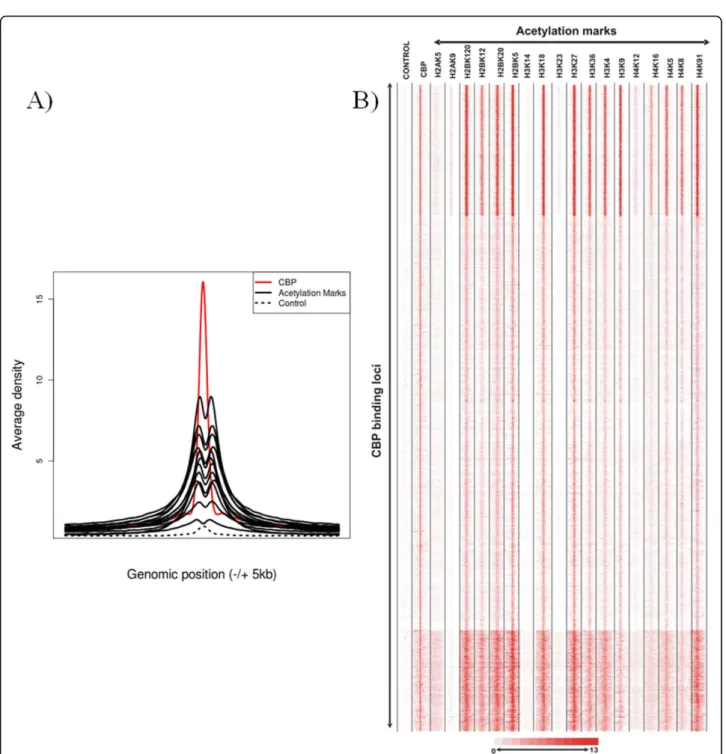 Figure 3 Similar genome-wide binding patterns of 15 HAT marks at binding sites of HATs