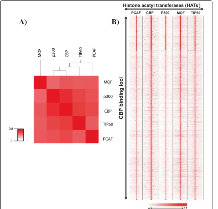 Figure 4 HATs are corecruited at high frequency on their binding loci. Raw ChIP-seq data were extracted from [12,13]