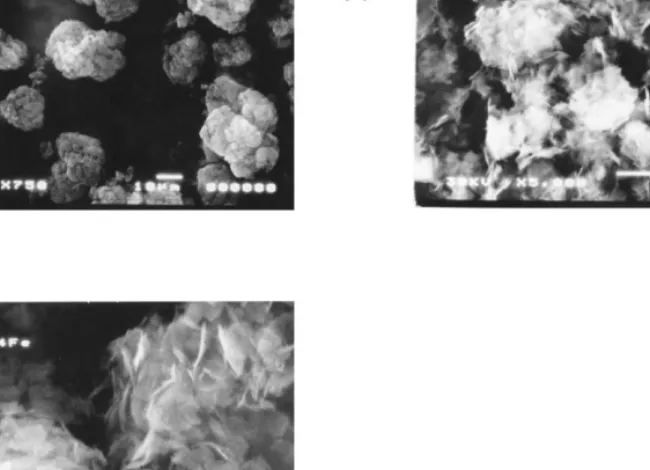 Fig. 2. Scanning electron micrographs of [Fe,Al ]-MCM-22 samples 2 (a) and 3 (b) and of Fe-MCM-22 sample 5 (c).