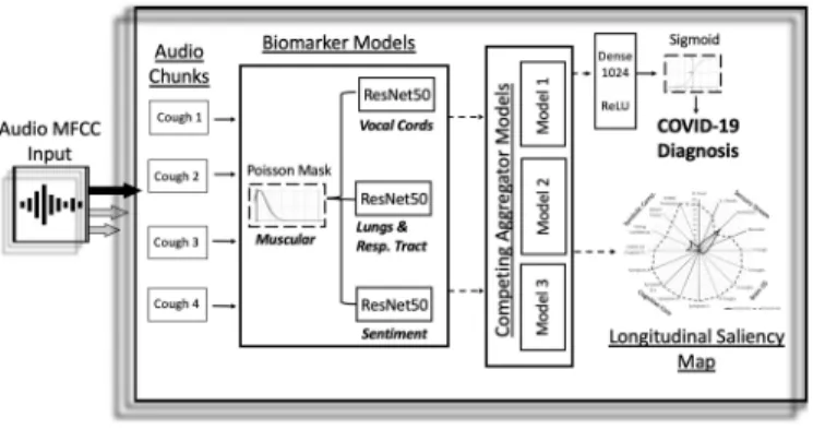 Fig. 1. Overview architecture of the COVID-19 discriminator with cough recordings as input, and COVID-19 diagnosis and longitudinal saliency map as output