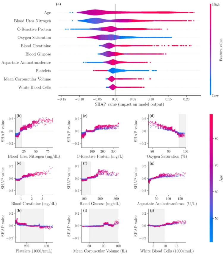 Fig 1. SHAP importance plots for final model. The top 10 features are displayed in panel (a), ordered by decreasing significance