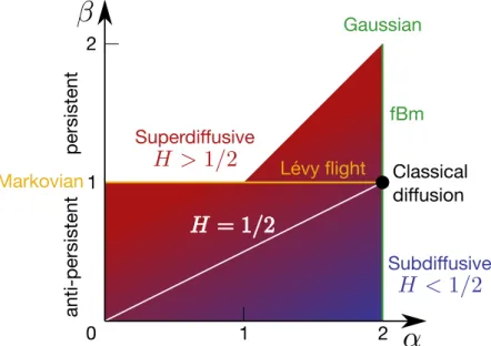 Figure 5 | Parameter space for the fLm. The values of H = β/α lie in the shaded region and depending on the values of the spatial transport exponent, α, and the temporal transport exponent, β, the transport can be superdiffusive (H > 1/2) or subdiffusiv