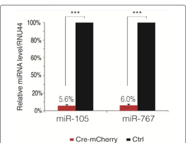 Figure 9: RT-qPCR expression analysis of miR-105 and miR-767 in FACS- FACS-sorted Cre-induced HT1080#72.2.25.9 cells.