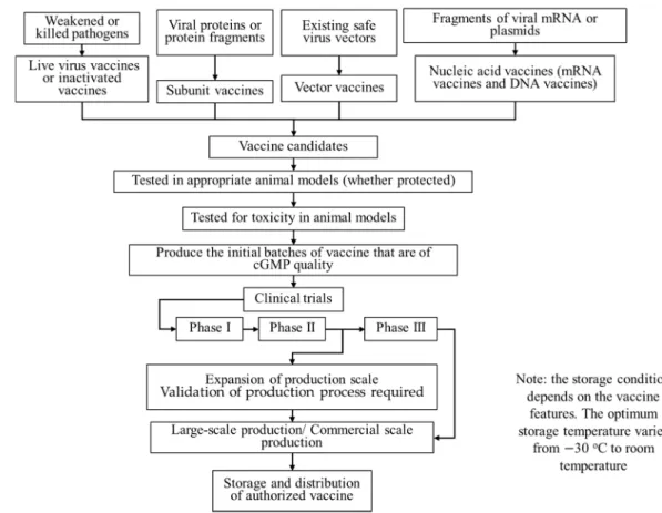 Figure 1. Flow chart of vaccine development from biological feedstock to clinical trials and logistic chain for vaccine dis- dis-tribution