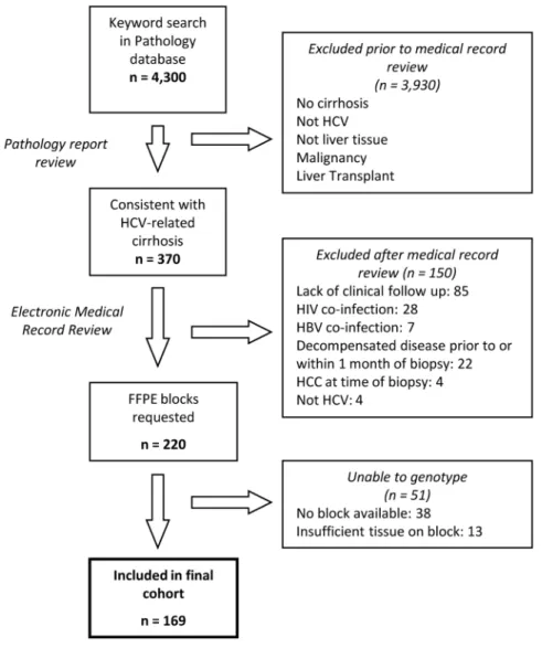 Fig. 1. Flow chart for identification of the cohort. The following keywords were used in the pathology database search: HCV, HBV, NAFLD, NASH, and hepatitis
