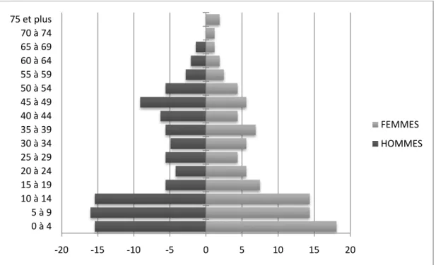 Figure 7 : Pyramide des âges de Ban Phatang, 2006 