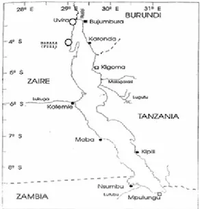 Figure 1. Lake Tanganyika with sampling stations: white circles= Uvira   and Fizi fishing sectors (Adapted from: Bwebwa 1996).
