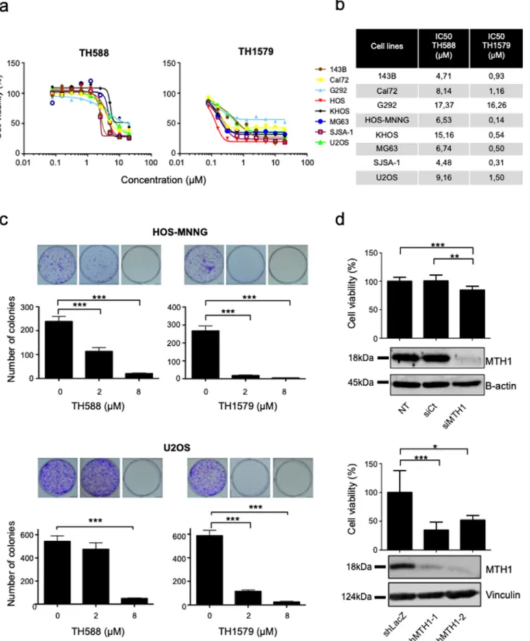 Fig. 2. MTH1 inhibition decreases cell proliferation in human osteosarcoma cell lines