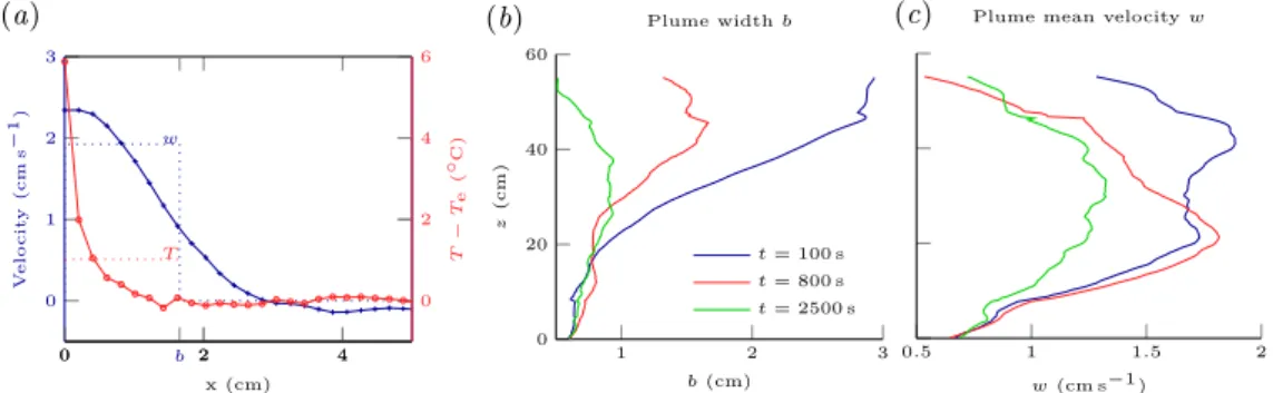 Figure 9: Averaged quantities in the plume. ( a ) Typical vertical velocity and temperature profiles (at z ≈ 40 cm and t = 150 s)