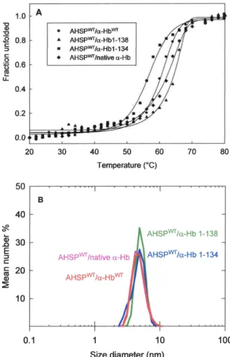 Figure 6. Conformational Stability of truncated AHSP WT /a-Hb complexes. (A) Thermal unfolding curve measured by CD  experi-ments