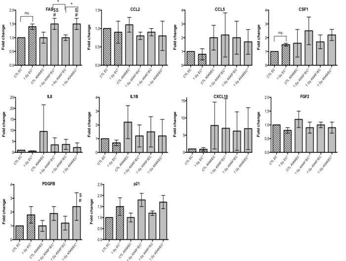 Figure 5. Effects of alpha particle (1 Gy) irradiation on the mRNA expression of FAS, CCL2, CCL5, CSF1, IL8, IL1B, CXCL10, FGF2, PDGFB  and p21 in endothelial cells in mono- (hatched columns) or in co-culture (filled columns) configurations