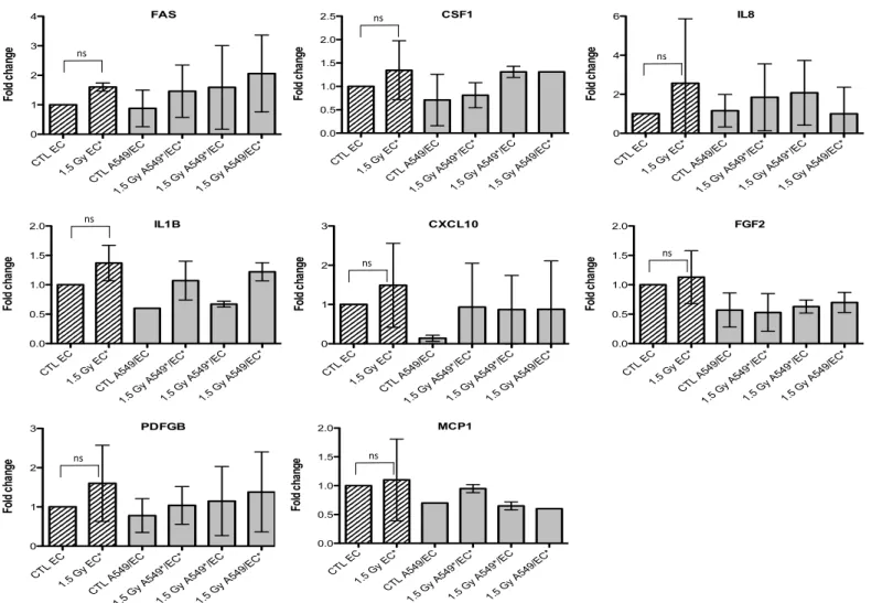 Figure 6. Effects of proton (1.5 Gy) irradiation on the mRNA expression of  FAS, CSF1, IL8, IL1B,  CXCL10, FGF2,  PDGFB and MCP1 in  endothelial cells in mono- (hatched columns) or in co-culture (filled columns) configurations