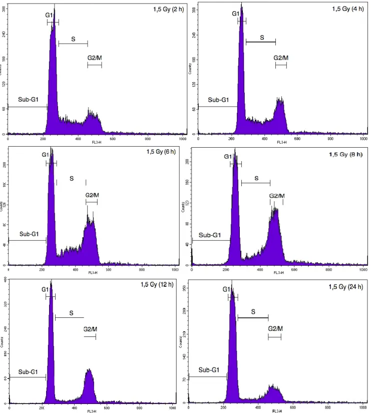 Figure A2. Illustrative cytometry graphs obtained for monocultured A549 cells stained with  propidium iodide after irradiation with 1.5 Gy proton beam
