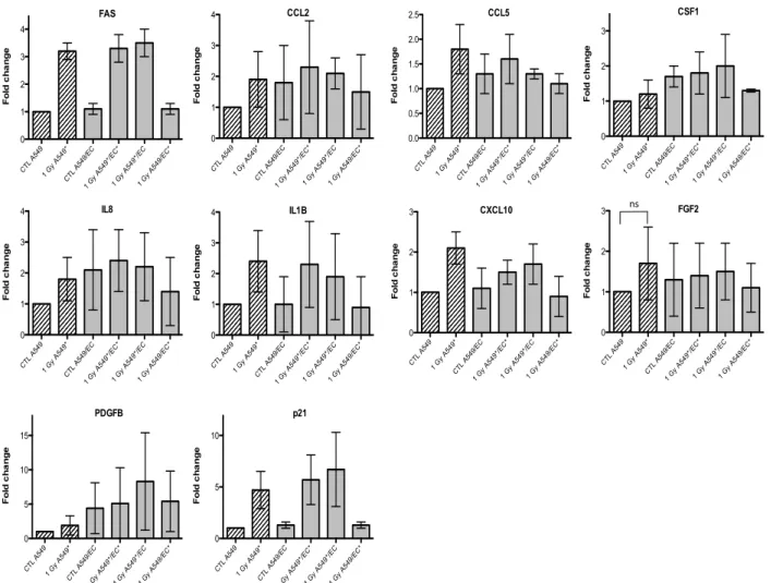 Figure 3. Effects of alpha particle (1 Gy) irradiation on the mRNA expression of  FAS, CCL2, CCL5, CSF1, IL8, IL1B, CXCL10, FGF2,  PDGFB and p21 in A549 cells in mono- (hatched columns) or in co-culture (filled columns) configurations