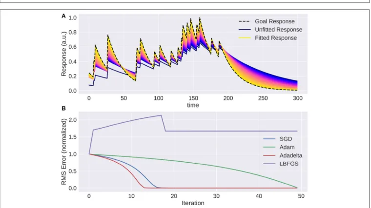 FIGURE 7 | The trace of an exponential filter being fitted to a target: (A) Different traces (with a very small adaptation between each iteration) from dark blue (beginning) to yellow (end)