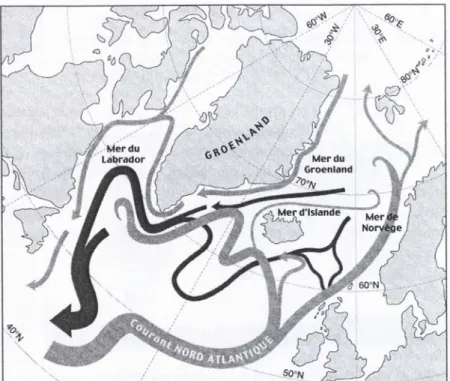 Figure 1 : Carte de l’Atlantique Nord représentant la circulation océanique en surface (grisé clair) et en profondeur (grisé sombre) (Bard  2006) 