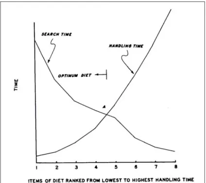 Figure 9 : Graphique montrant les changements dans le temps de recherche et de traitement selon la façon dont les proies sont ajutées à une  diète théorique
