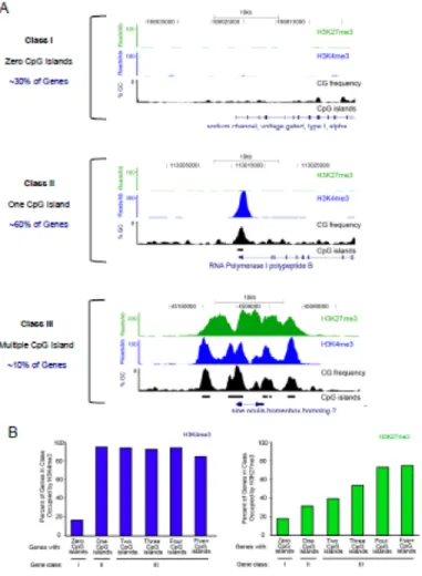 Figure 2. CpG island structure predicts the genomic occupancy of H3K4me3 and H3K27me3 modified nucleosomes in pluripotent stem cells