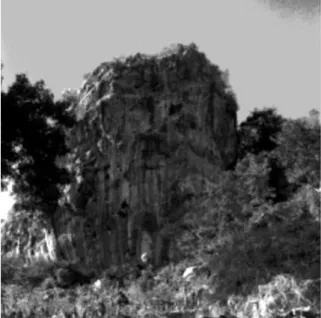 Figure 17 : Photographie du Penasco Los Migueles dont la base forme un abri sous  roche 80