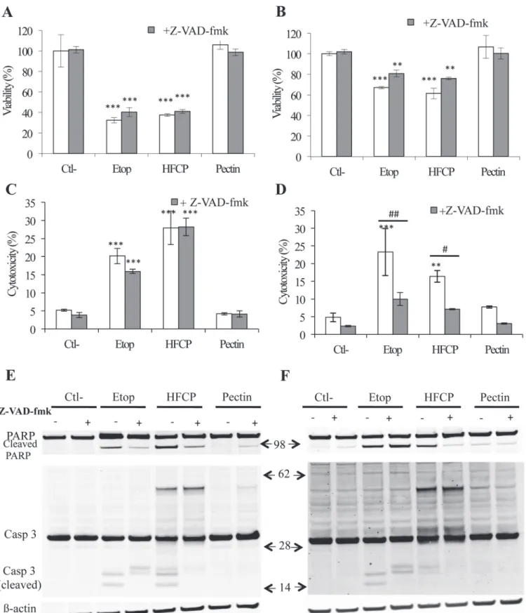 Fig 3. HFCP-induced apoptosis is partially inhibited by caspase inhibition. HepG2 and A549 cells were incubated with medium alone (Ctl-), 50 μ M etoposide (Etop), 3 mg/ml heat-fragmented citrus pectin (HFCP) or 3 mg/ml citrus pectin (Pectin) in the presenc