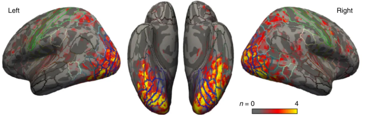 Fig. 3 Voxels selected for brain decoding. Voxels were selected based on a combination of their visual responsiveness and their GLM goodness-of- ﬁ t during the brain decoder training stage (Fig