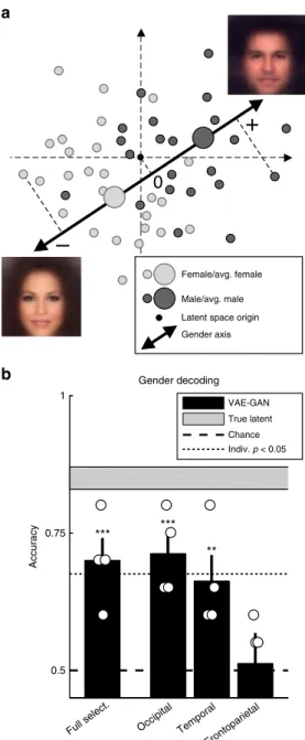 Fig. 6 Gender decoding. a Basic linear classi ﬁ er. A simple gender classi ﬁ er was implemented as a proof-of-principle