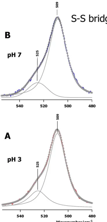 Figure 5. Band decomposition in the disulfide bond-stretch region of Raman spectra. Observed spectra are in (A) red (pH 3) and  (B) blue (pH 7) colors