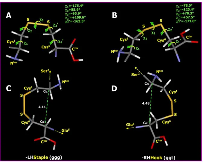 Figure 7. Zoom on the disulfide linkage of the optimized conformers of cFEE. Two views of each structure are reported