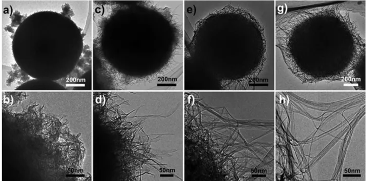 Figure 2.  TEM images of sodium titanates samples collected after hydrothermal reactions for different  durations