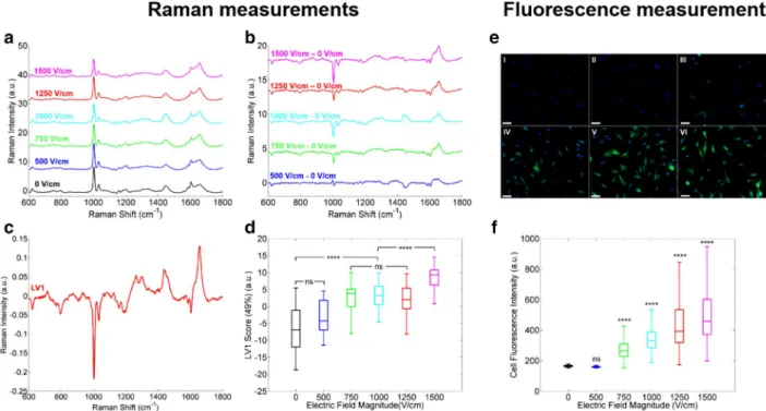 Figure 1.  Raman (a–d) and fluorescence (e–f) measurements of live haMSC exposed to µsPEF