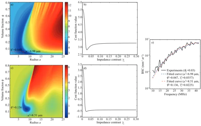 Fig. 2. (a) Logarithm of the cost function F 1 (a, φ) for a fixed value of the relative impedance contrast γ ∗ z for the monodisperse SFM obtained from the experiment with an actual volume fraction of 0.03
