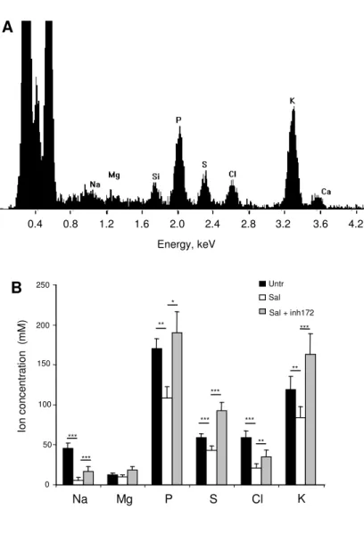 Figure 4  0  50 100 150 200 250  Na Mg P S Cl KIon concentration  (mM) UntrSal  Sal + inh172 *** *** ** * *** *** *** ** *** B Energy, keV 0.4 0.8 1.2 1.6 2.0 2.4 2.8 3.2  3.6  4.2 ** A 