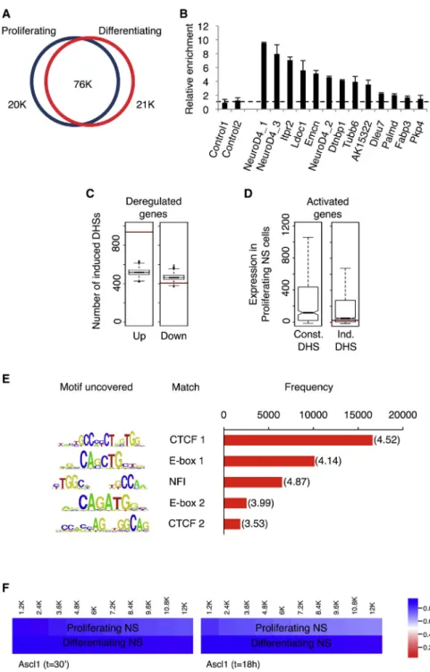 Figure 5. Characterization of Changes in Chromatin Accessibility during  Differentia-tion of NS Cells