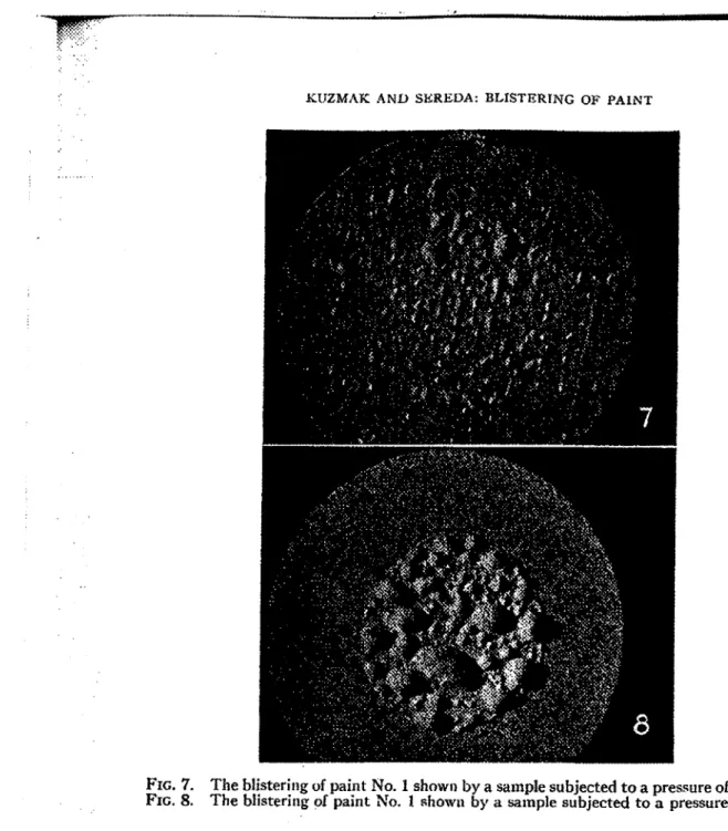 FIG. 7.  The  blisterirlg  of  paint  No. 1  shown  by  a  sample subjected to  a pressure  of  nitrogen
