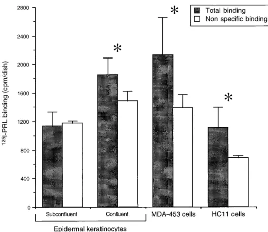 FIG. 3. PRL binding on cultured cells. Subconfluent (n 5 3) and confluent (n 5 5) human epidermal keratinocytes, MDA-453 human breast cancer cells (n 5 3), and HC11 mouse mammary epithelial cells (n 5 3) were tested for total binding of 125 I-PRL (30 ng/ml