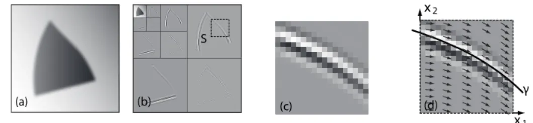Figure 1: a) a geometrically regular image, b) the associated wavelet coefficients, c) a close-up of wavelet coefficients in a detail space W j o that shows their remaining regularity, d) the geometrical flow adapted to this square of coefficients, here it