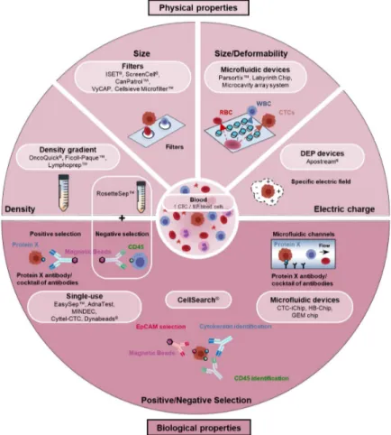 Figure 1. Circulating tumor cell (CTC) enrichment techniques.  Current devices/methods used to  enrich and isolate CTCs exploit biological or biophysical properties to differentiate CTCs from blood  cells