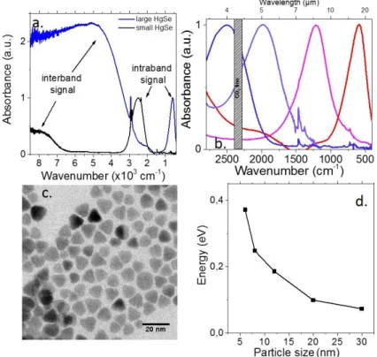 Figure 3 a. Absorption spectrum for two sizes of HgSe CQD. b. Zoom on the intraband contribution of the absorption spectra  of HgSe CQD for four sized of HgSe CQD