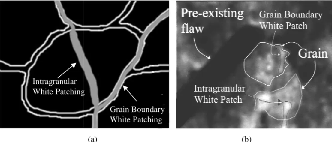 Fig. 8) (Miller 2008).  The type of linear white patching alternated between  intragranular and grain bound