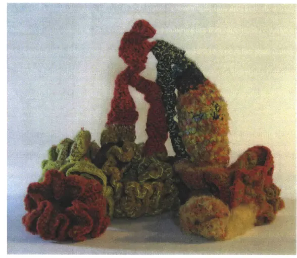 Figure 4.2.  Aviva Alter's First Cambrian Explosion  Form.
