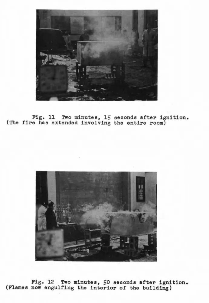 Fig. 11 Two minutes, 15 seconds after isnition.