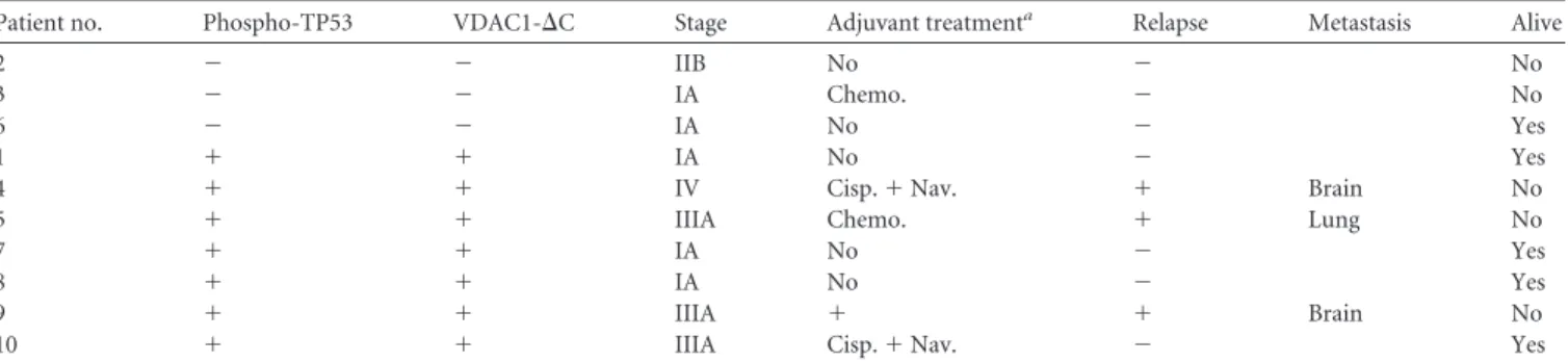 TABLE 3 Phospho-TP53 and VDAC1- ⌬ C status of 10 patients with lung adenocarcinomas, determined by immunoblotting, and their tumor grade, adjuvant treatment, relapse, and metastases