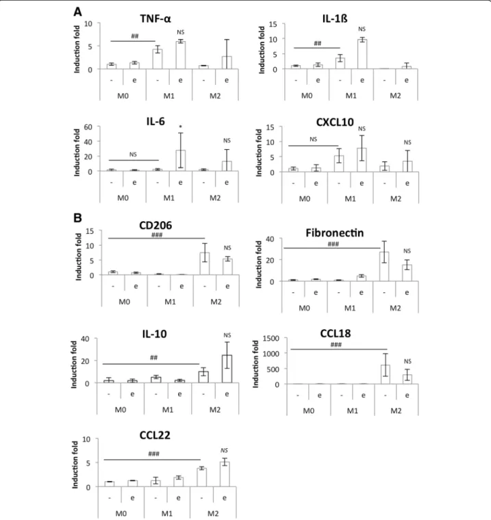 Fig. 8 Study of M1 (a) and M2 (b) polarization markers mRNA expression in etoposide-incubated macrophages