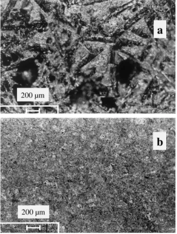 Fig. 3. Optical picture of the sputtering tracks of the T1 (a) and T2 (b) targets.